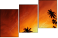 20708520