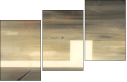21155951