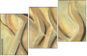 21450824