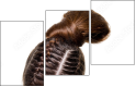 21787769