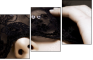 21991281