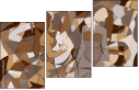 223892600