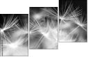 23180311