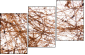 23639472