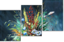 24170906