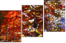 24600488
