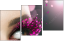 28365450