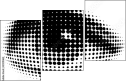 29211462