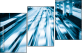 29361269
