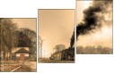 29517510