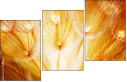 30258126