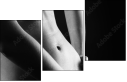 30291161