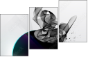 30296813