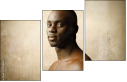 30516382