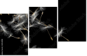 30521892
