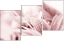 31030439