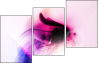 31395557