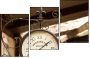 33620946