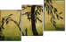 34338759
