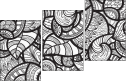 36078011