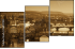 36297051