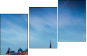 36586904