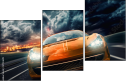 37144619