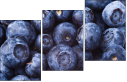 38114663