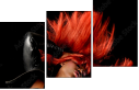 38661910