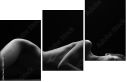 38857159