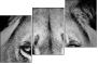39012933