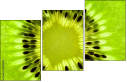 39788047