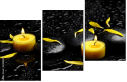 43880281