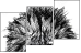 44646006