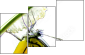 44679167