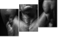 45026445