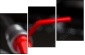 45249276