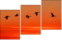 45440307
