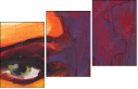 45492260