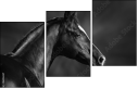 46196337