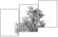 47020348