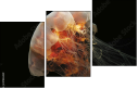 47043429