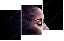 48449228