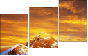 48905885