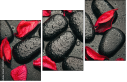 49357610