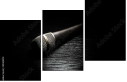 49444214