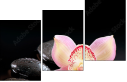 49497530