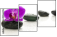 49566256