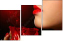 49940645