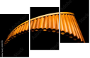 50197019